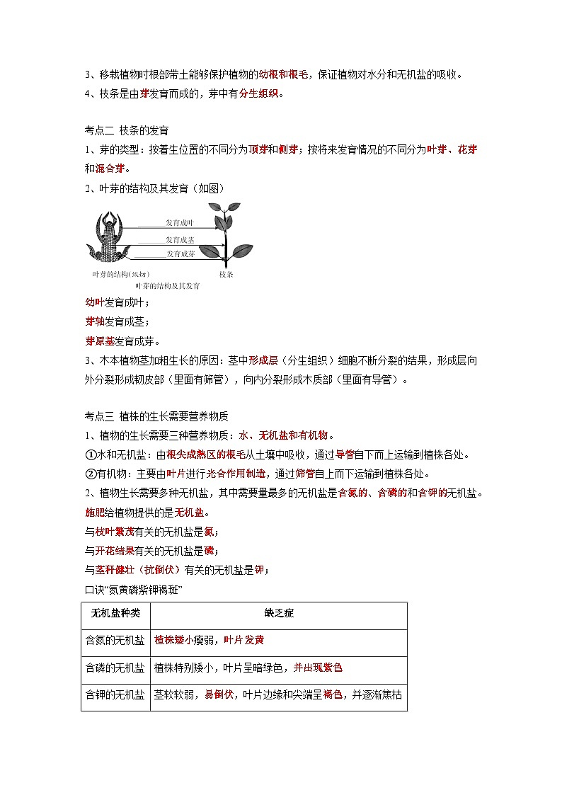 专题06 被子植物的一生-2022年中考生物一轮复习抓重点考典型（人教版）03