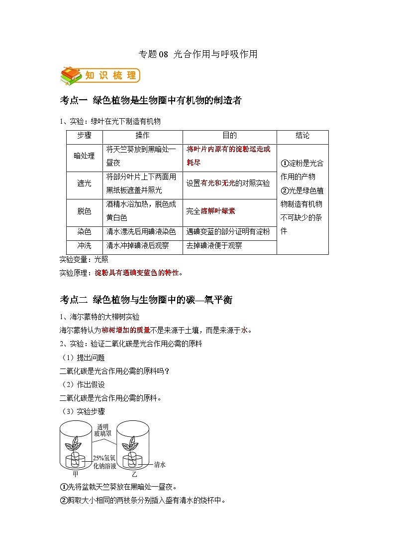 专题08 光合作用和呼吸作用-2022年中考生物一轮复习抓重点考典型（人教版）（解析版）第1页
