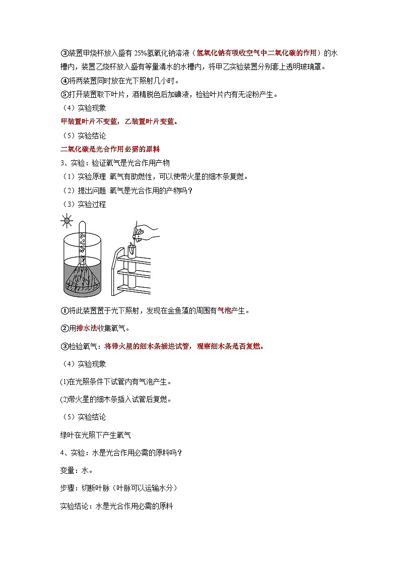 专题08 光合作用和呼吸作用-2022年中考生物一轮复习抓重点考典型（人教版）（解析版）第2页