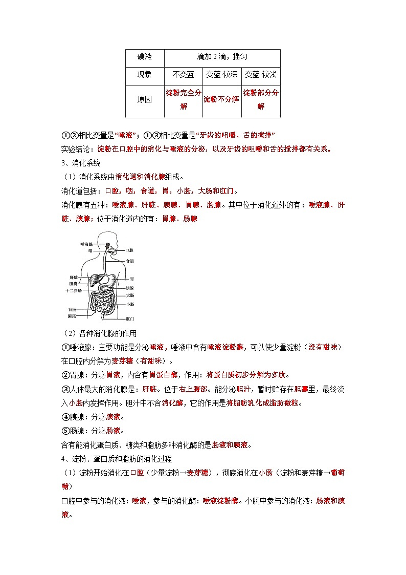 专题10 人体的营养-2022年中考生物一轮复习抓重点考典型（人教版）（原卷版）第3页