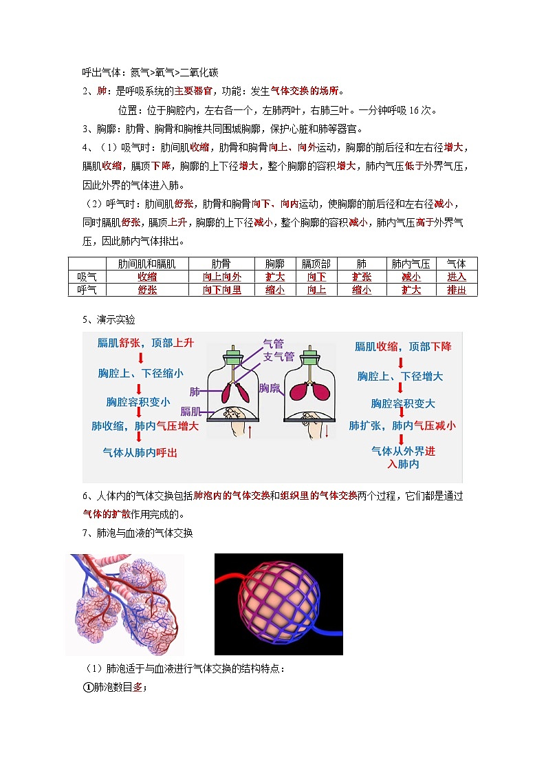 专题11 人体的呼吸-2022年中考生物一轮复习抓重点考典型（人教版）（原卷版）第2页