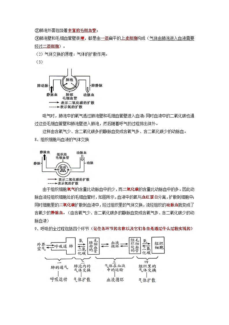 专题11 人体的呼吸-2022年中考生物一轮复习抓重点考典型（人教版）（原卷版）第3页