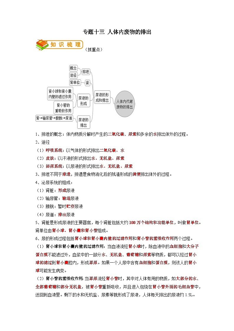 专题13 人体内物质的运输-2022年中考生物一轮复习抓重点考典型（人教版）（解析版）第1页