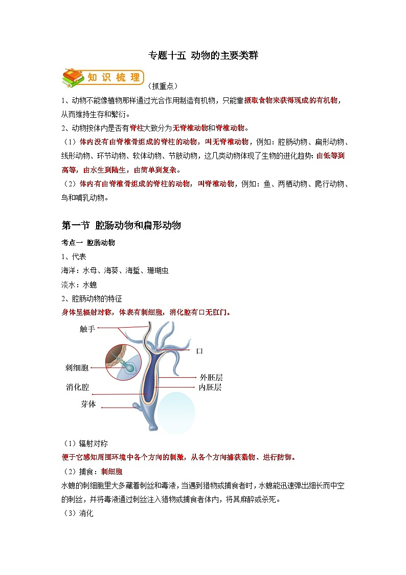 专题15 动物的主要类群-2022年中考生物一轮复习抓重点考典型（人教版）01