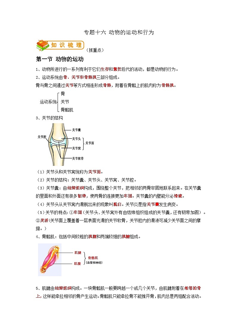 专题16 动物的运动和行为-2022年中考生物一轮复习抓重点考典型（人教版）（原卷版）第1页