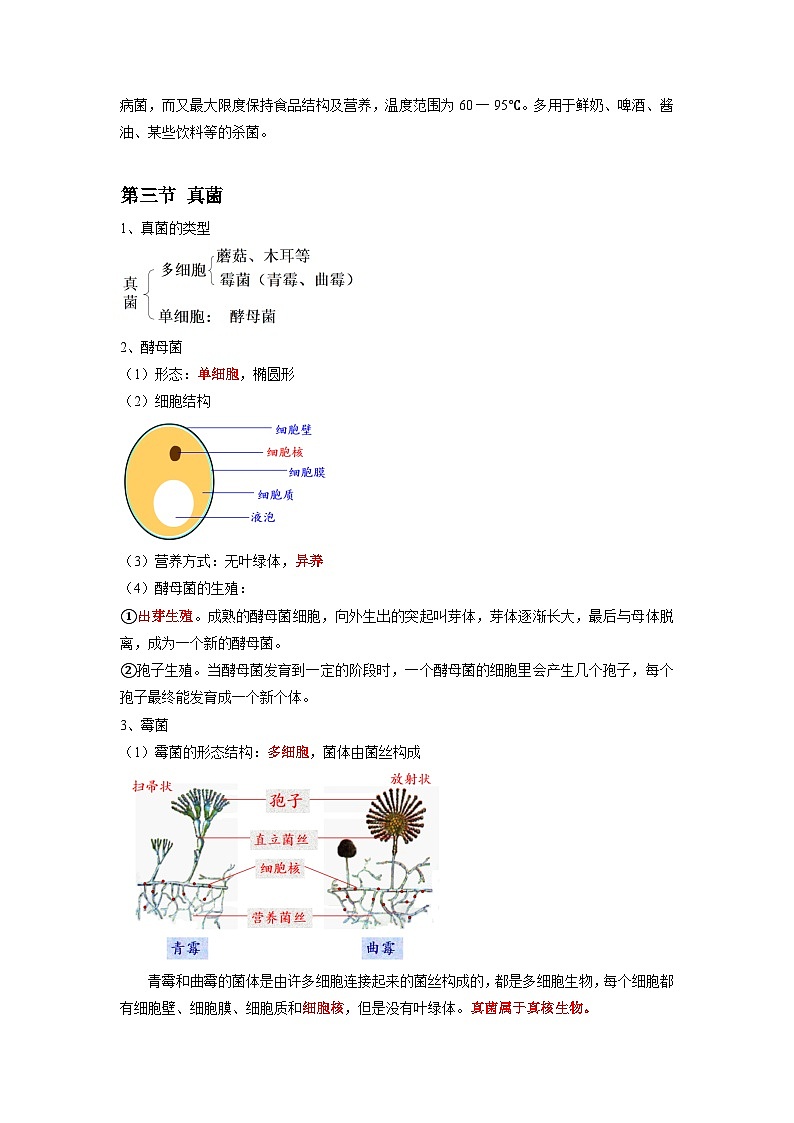 专题17 细菌、真菌、病毒-2022年中考生物一轮复习抓重点考典型（人教版）03
