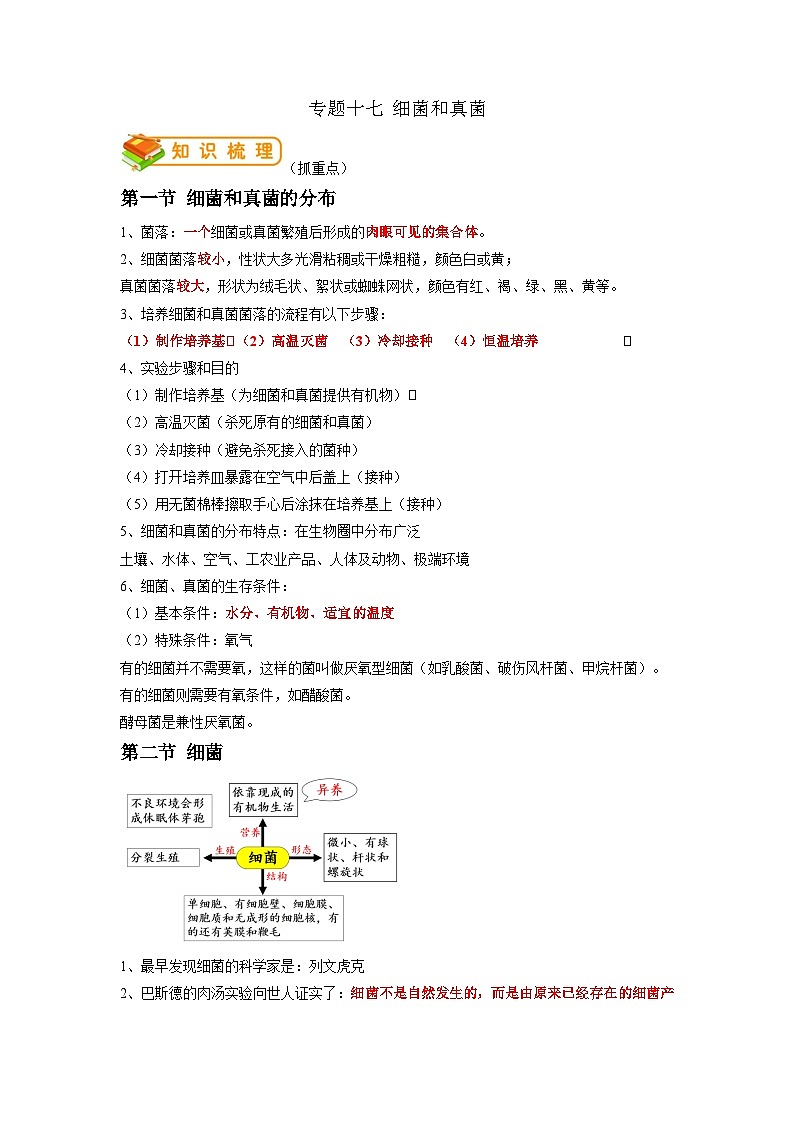 专题17 细菌、真菌、病毒-2022年中考生物一轮复习抓重点考典型（人教版）01