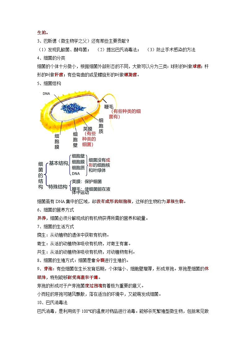 专题17 细菌、真菌、病毒-2022年中考生物一轮复习抓重点考典型（人教版）02