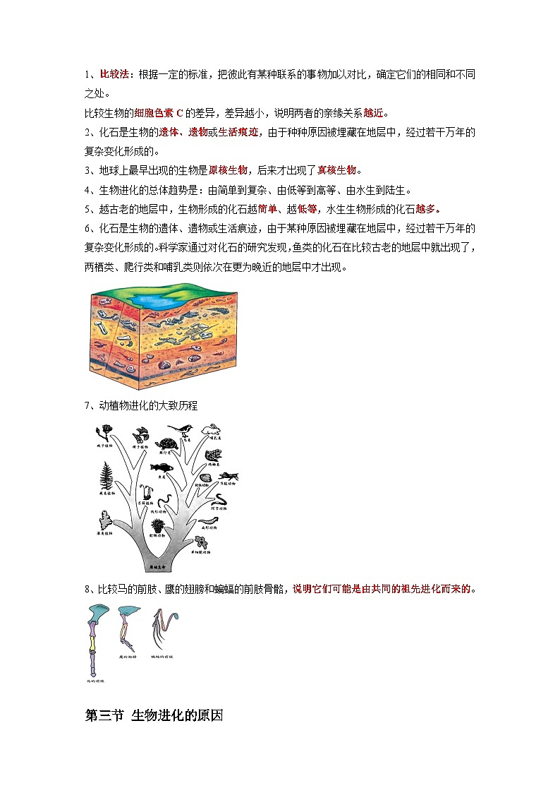 专题21 生命起源和生物进化-2022年中考生物一轮复习抓重点考典型（人教版）（原卷版）第2页