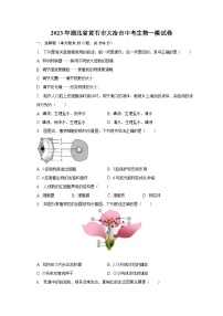 2023年湖北省黄石市大冶市中考生物一模试卷（含解析）