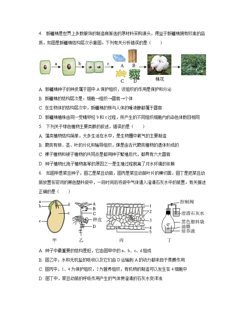 2023年山东省临沂市河东区中考生物一模试卷（含解析）02