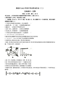 2023年湖南省娄底市中考三模生物试题（含答案）