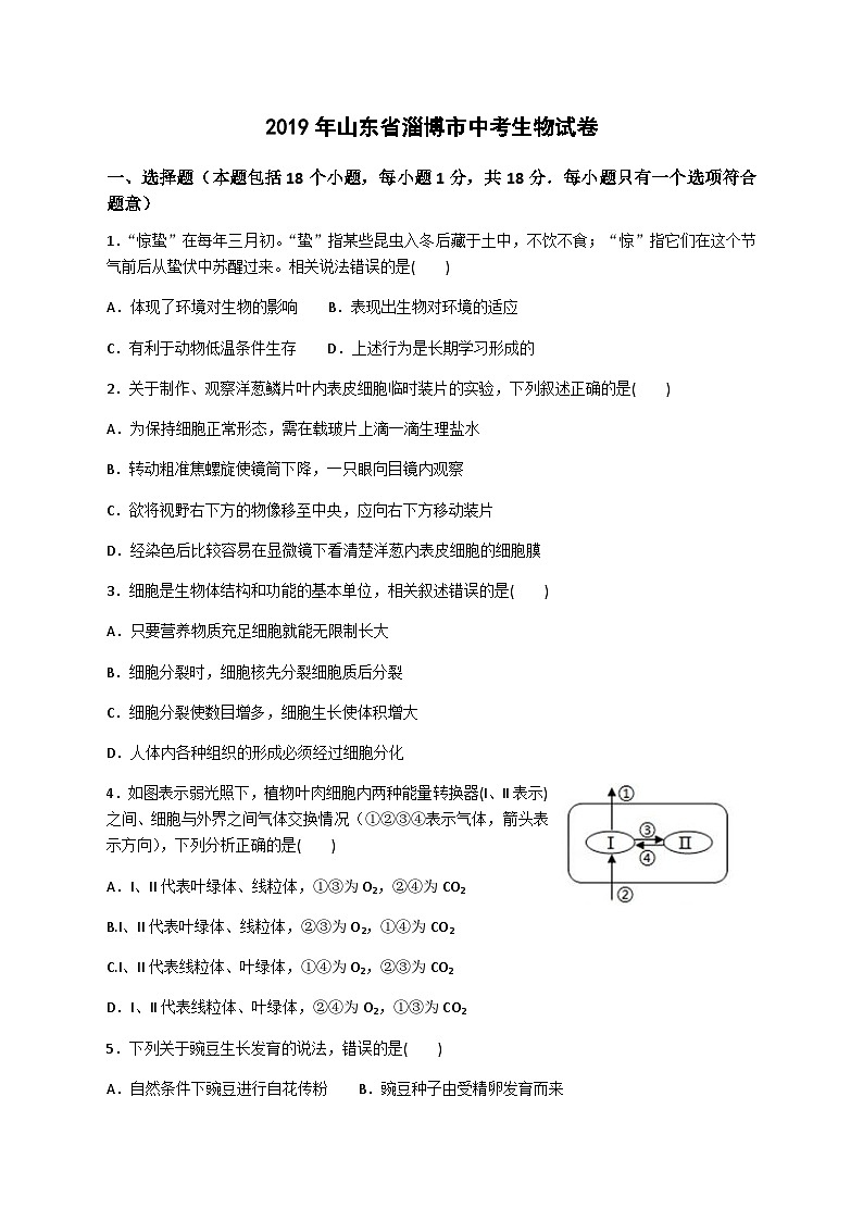 2019年山东省淄博市中考生物试题（word精编版，含答案）01