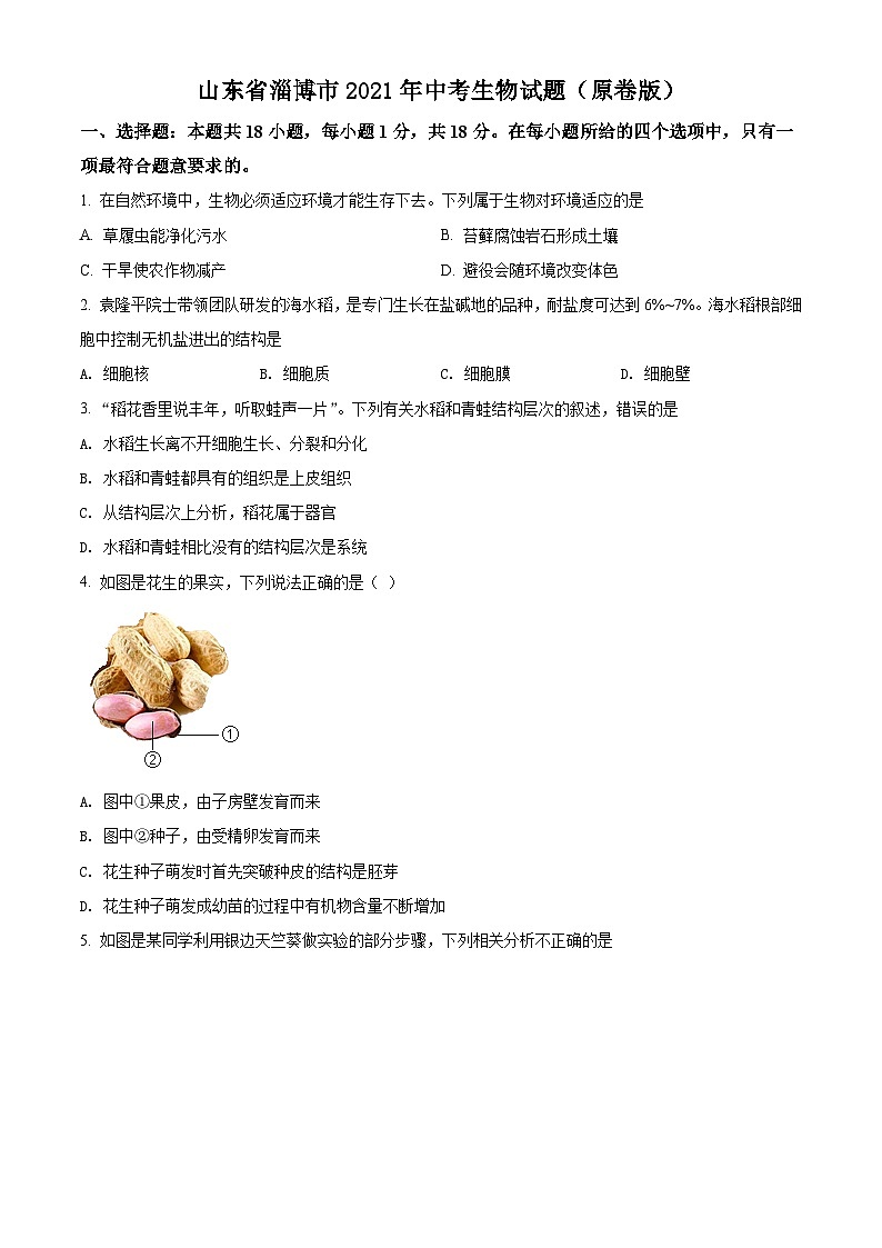 山东省淄博市2021年中考生物试题（原卷版）01