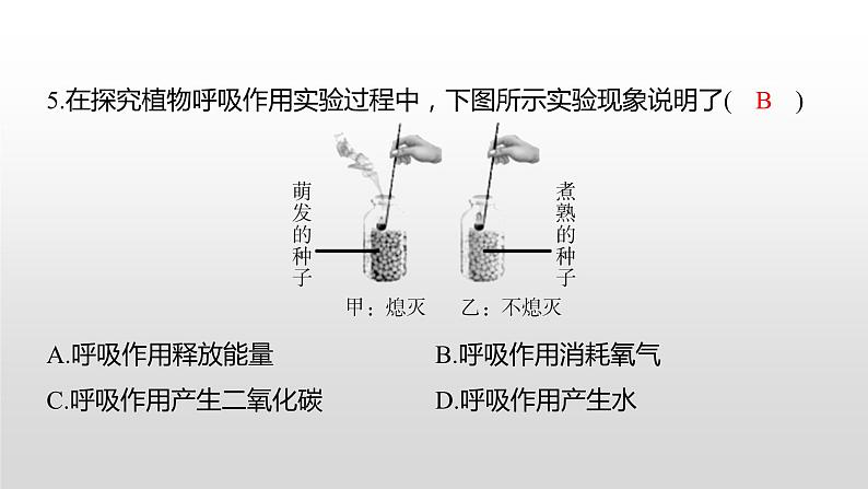 2021年岳阳市初中学业水平考试（生物真题卷）（有详细解析）课件PPT第6页