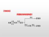 2022郴州市初中学业水平考试（生物真题卷）（有详细解析）课件PPT