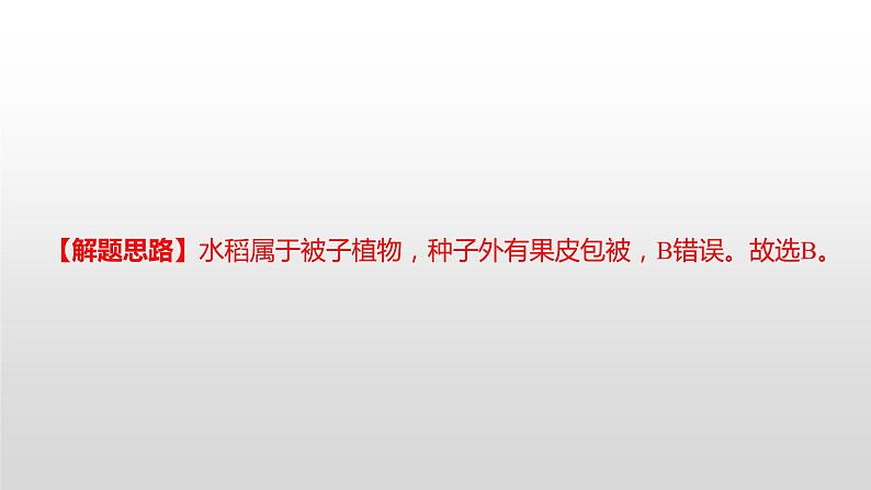 2022郴州市初中学业水平考试（生物真题卷）（有详细解析）课件PPT第7页