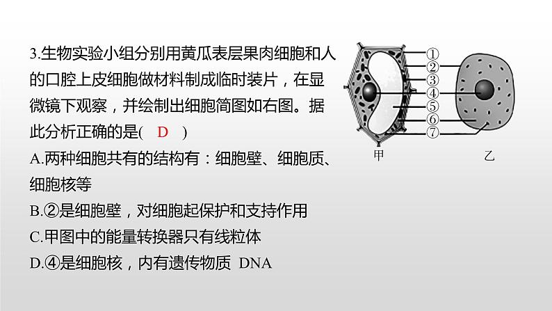 娄底市2022年初中毕业学业考试（生物真题卷）（有详细解析）课件PPT第6页