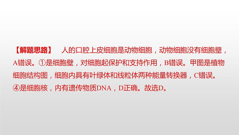 娄底市2022年初中毕业学业考试（生物真题卷）（有详细解析）课件PPT第7页