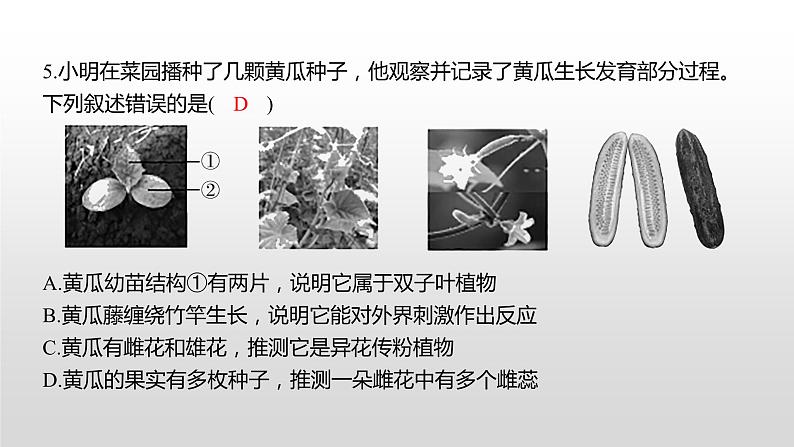 益阳市2022年初中学业水平考试（生物真题卷）（有详细解析）课件PPT第6页