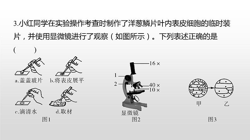 张家界市2022年普通初中学业水平考试（生物真题卷）（有详细解析）课件PPT第5页