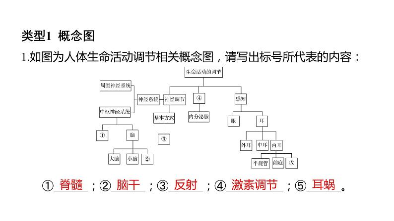 中考生物专题复习--题型二 识图作答题课件PPT第2页