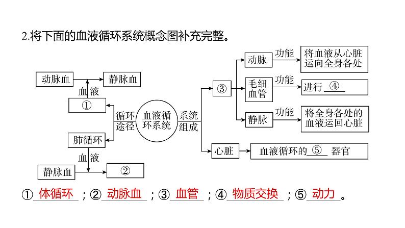 中考生物专题复习--题型二 识图作答题课件PPT第4页