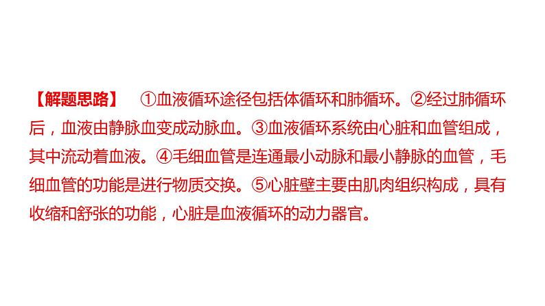 中考生物专题复习--题型二 识图作答题课件PPT第5页