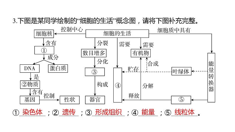 中考生物专题复习--题型二 识图作答题课件PPT第6页