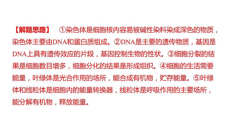 中考生物专题复习--题型二 识图作答题课件PPT第7页