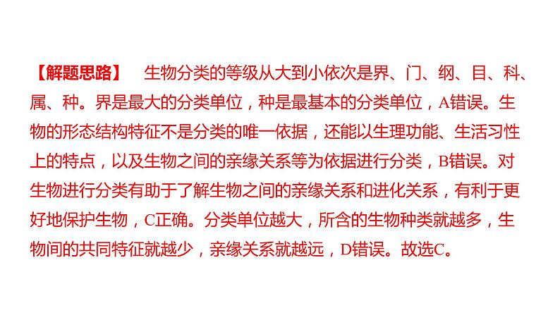 中考生物专题复习--专题八 生物的多样性课件PPT03