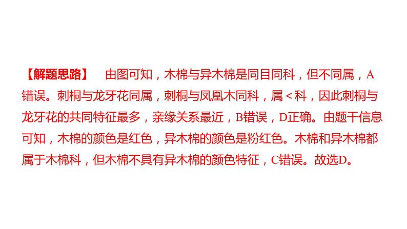 中考生物专题复习--专题八 生物的多样性课件PPT05