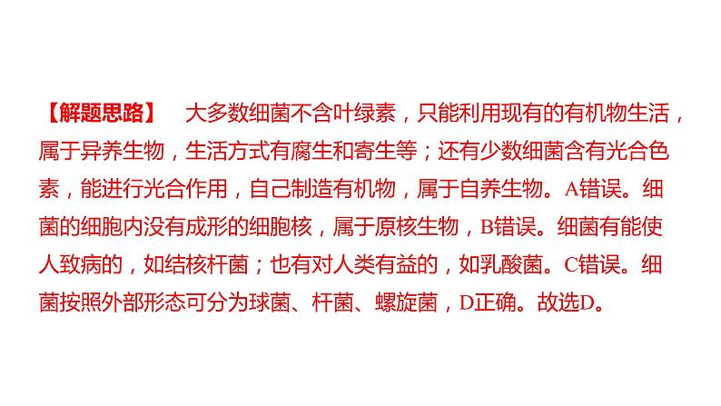 中考生物专题复习--专题八 生物的多样性课件PPT07