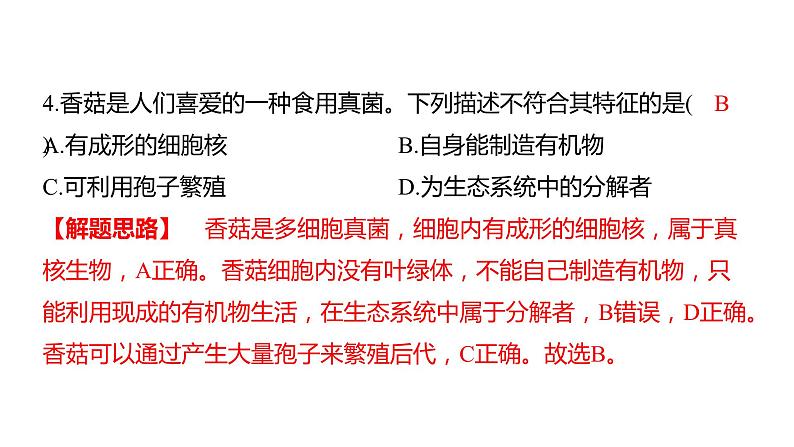 中考生物专题复习--专题八 生物的多样性课件PPT08