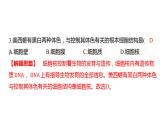 中考生物专题复习--专题二 生物体的结构层次课件PPT