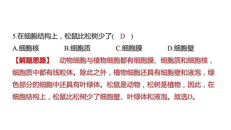 中考生物专题复习--专题二 生物体的结构层次课件PPT06