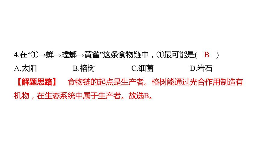 中考生物专题复习--专题三 生物与环境课件PPT第6页