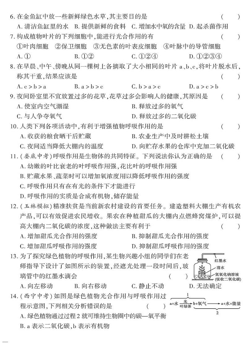 （2023秋）（初中）七年级上册-苏教版生物-第三单元 第六章测试题（二）第2页