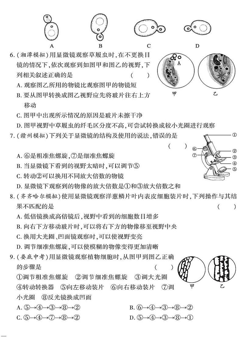（2023秋）（初中）七年级上册-苏教版生物-期中测试题第2页