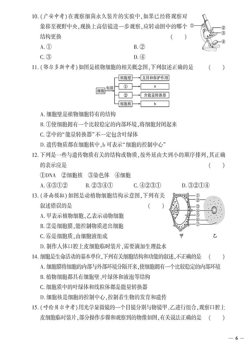 （2023秋）（初中）七年级上册-苏教版生物-期中测试题第3页