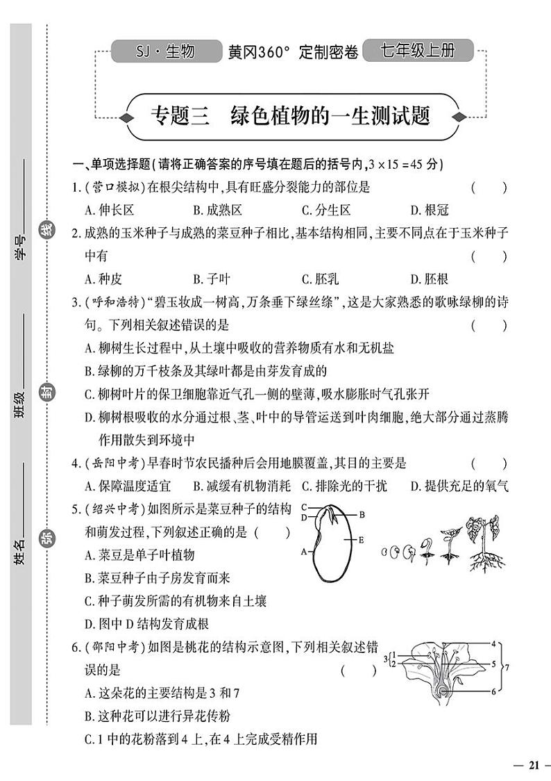（2023秋）（初中）七年级上册-苏教版生物-专题三 绿色植物的一生测试题第1页