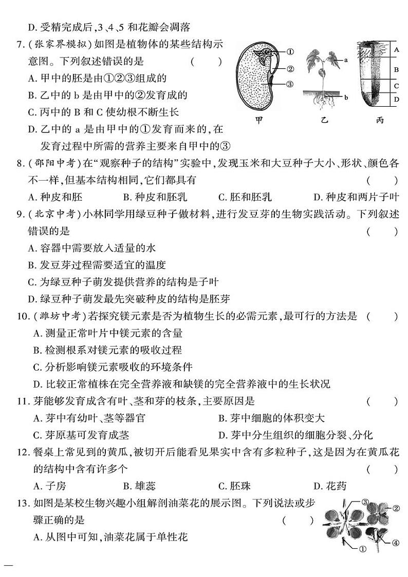 （2023秋）（初中）七年级上册-苏教版生物-专题三 绿色植物的一生测试题第2页
