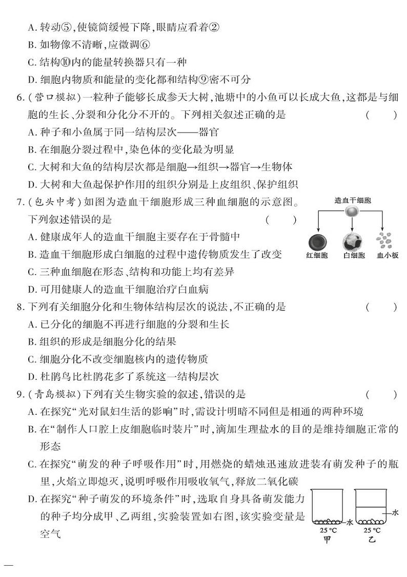 （2023秋）（初中）七年级上册-苏教版生物-期末测试题（三）第2页