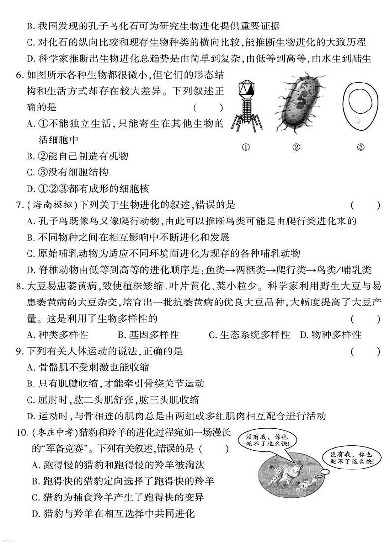 （2023秋）（初中）八年级全一册-苏教版生物（上册）-期末测试题（二）第2页