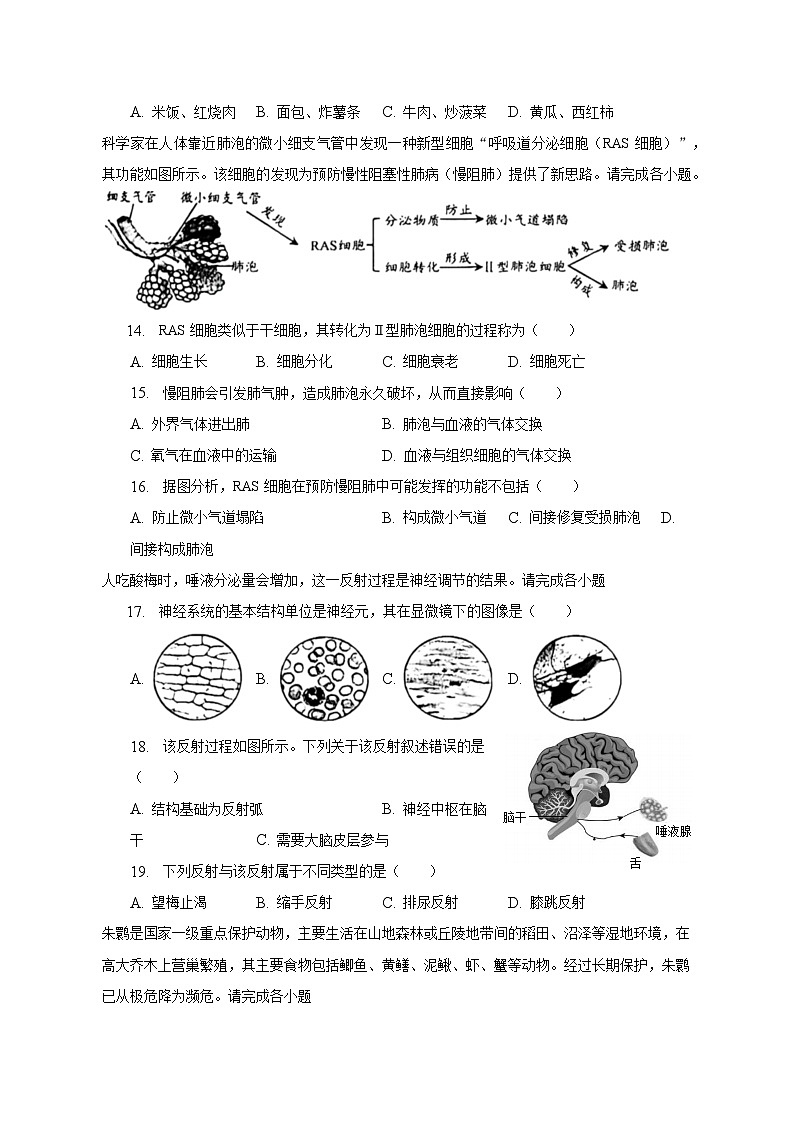 2023年北京市丰台区中考生物一模试卷（含解析）03