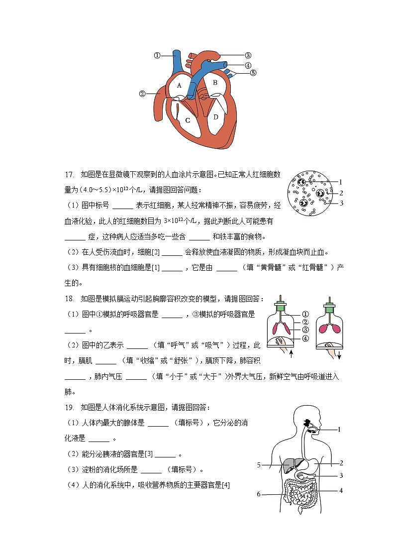 2022-2023学年广西贵港市桂平市七年级（下）期中生物试卷（含解析）03