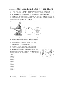 2022-2023学年山东省菏泽市单县七年级（上）期末生物试卷（含解析）