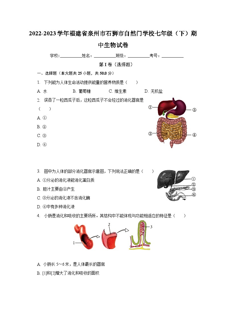 2022-2023学年福建省泉州市石狮市自然门学校七年级（下）期中生物试卷（含解析）01