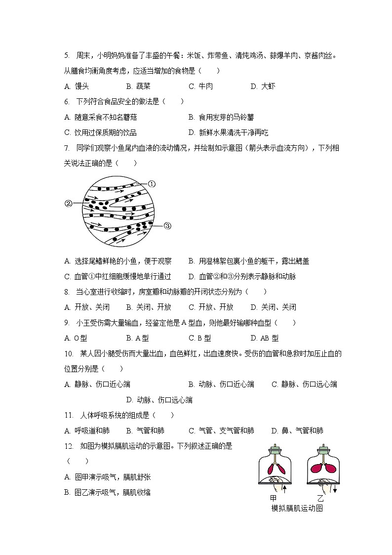 2022-2023学年河北省邯郸市馆陶县七年级（下）期中生物试卷（含解析）02