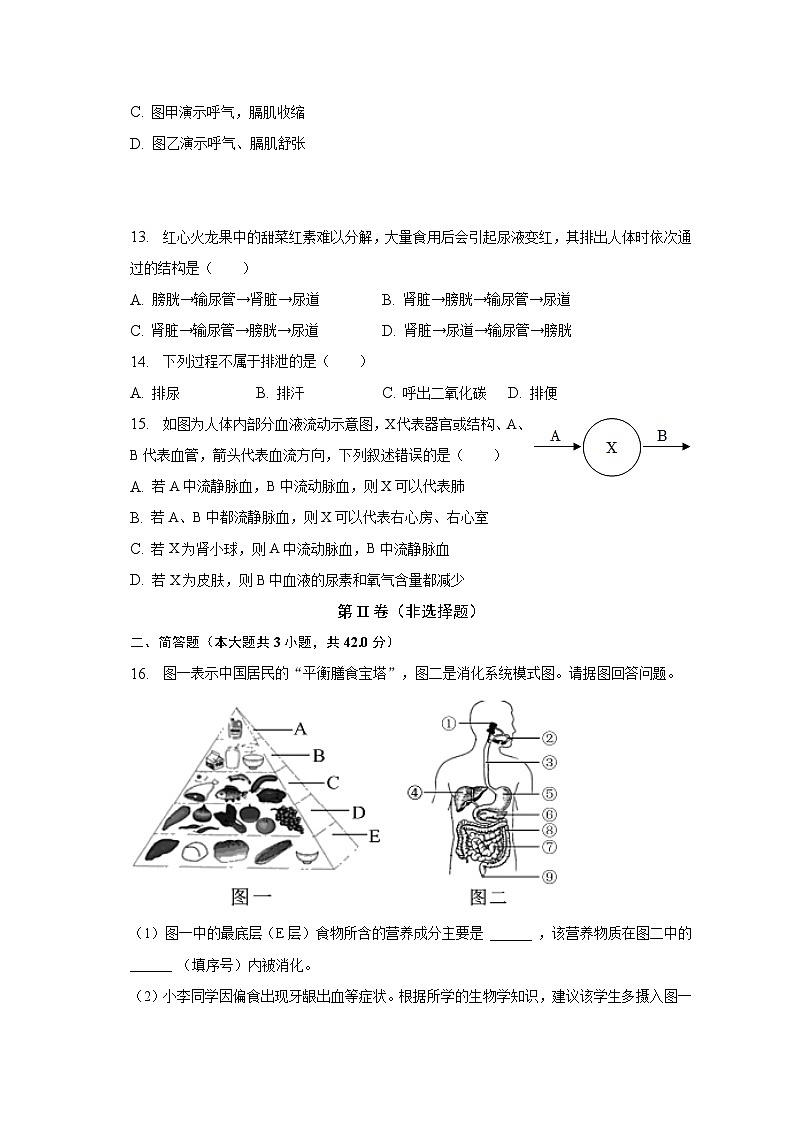 2022-2023学年河北省邯郸市馆陶县七年级（下）期中生物试卷（含解析）03